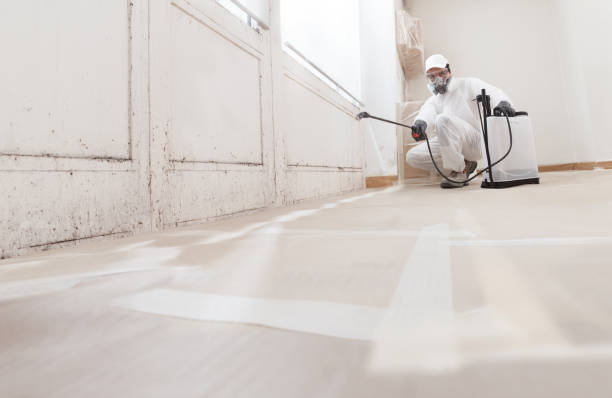 Trusted Mold Inspection service in Cherry Hill, NJ - WQB Mold Removal